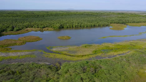 aerial shot with drone, in the estero balsa national park in monte cristi, sunny day, beautiful greenery