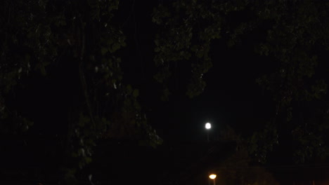 linterna estropeada que parpadea por la noche 1
