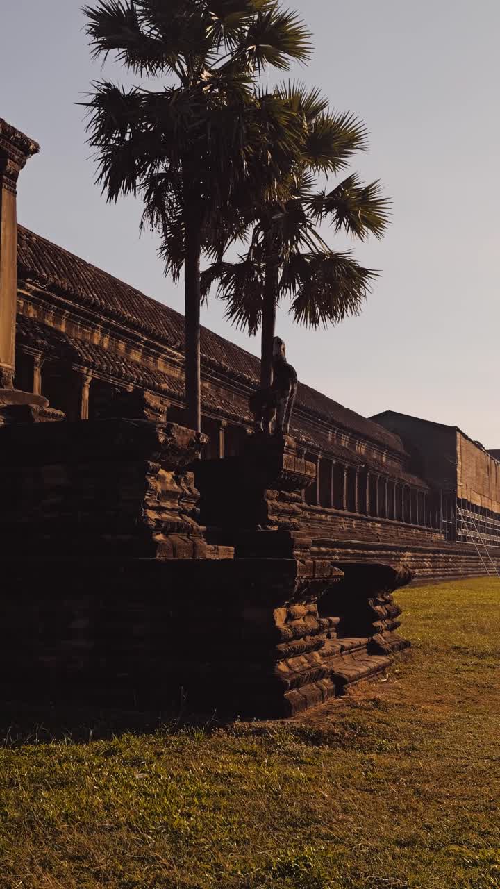 La diapositiva verticale a destra rivela una silhouette di macaco su gradini in pietra nella foschia dell'alba ad Angkor Wat, Siem Reap