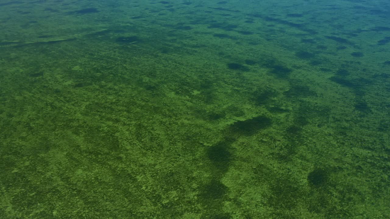 Acqua limpida e poco profonda rivela schemi di vegetazione sottomarina lungo una costa. La costa in lontananza presenta uno skyline cittadino sotto un cielo velato, mostrando un mix di elementi naturali e urbani