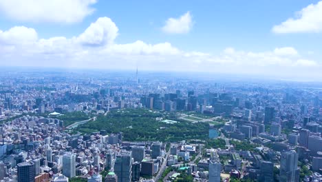 도쿄