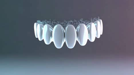 3d model of teeth