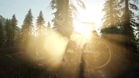 Bicycle-in-Mountain-Forest