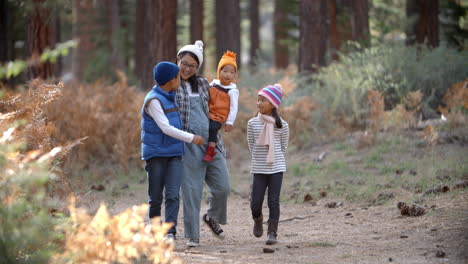 asian mother with three children walking in a forest