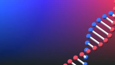 Video-of-dna-strand-spinning-with-copy-space-on-blue-to-purple-background
