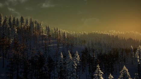 Nebel-Und-Schnee-Auf-Dem-Berg