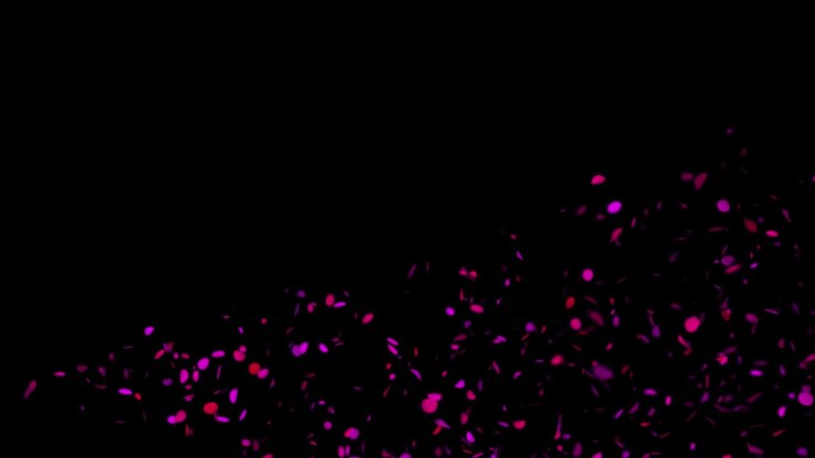 Colorful Party Confetti Falling Transition: Festive Christmas 3D Animation with Bright Glitter Gently Swirling, Isolated