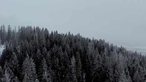 This-is-a-drone-footage-in-4k-of-zakopane,-Poland-,-Cracow