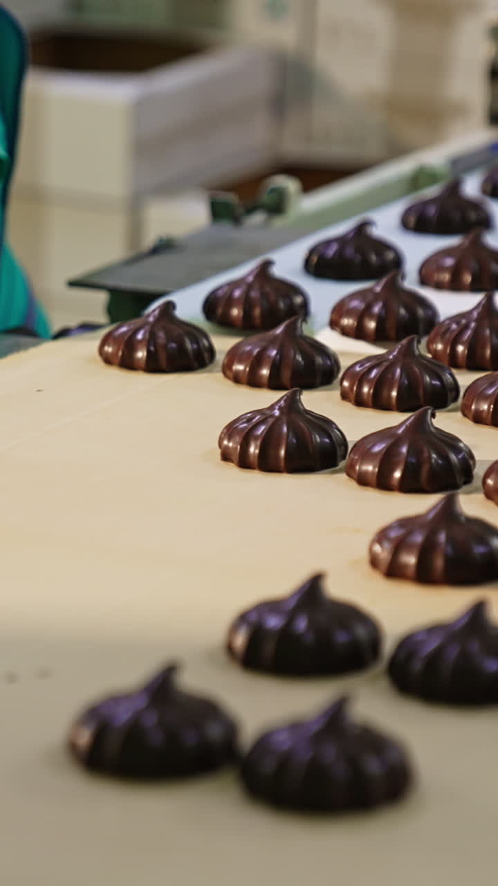 Woman worker at the confectionery factory packing marshmallows. Employee takes the sweets from conveyor and puts them into box. Vertical video