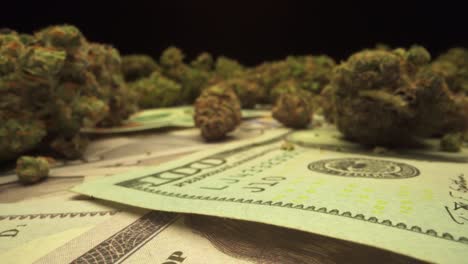 macro shot of marijuana bud on top of one hundred dollar bills