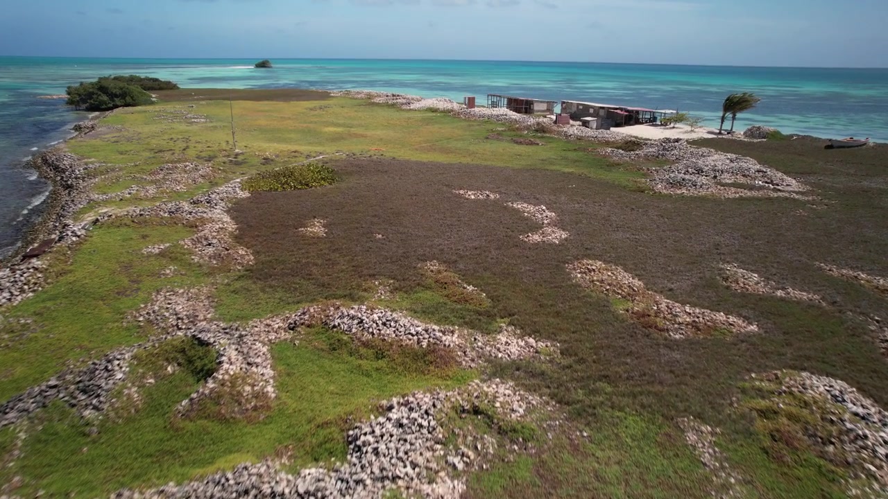 Sorvolo con drone a bassa quota di grandi cumuli di conchiglie marine su un remoto cay caraibico nell'Arcipelago di Los Roques, Venezuela.