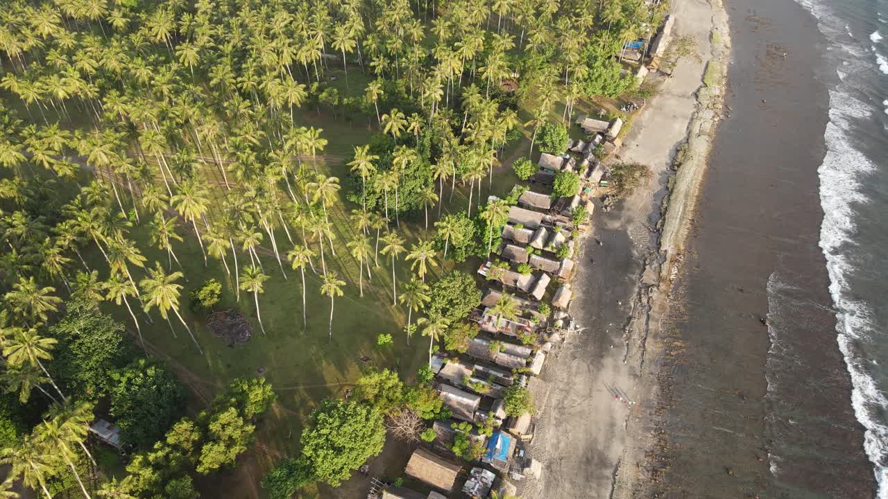 Vista aerea di un villaggio costiero tropicale con un palmeto e le onde dell'oceano