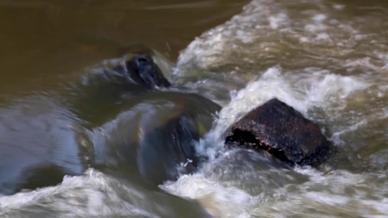 Small beautiful river in the middle of the forest in Brazil
