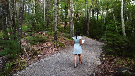 beautiful wide angle of a young woman reading a map while she treks through a forest