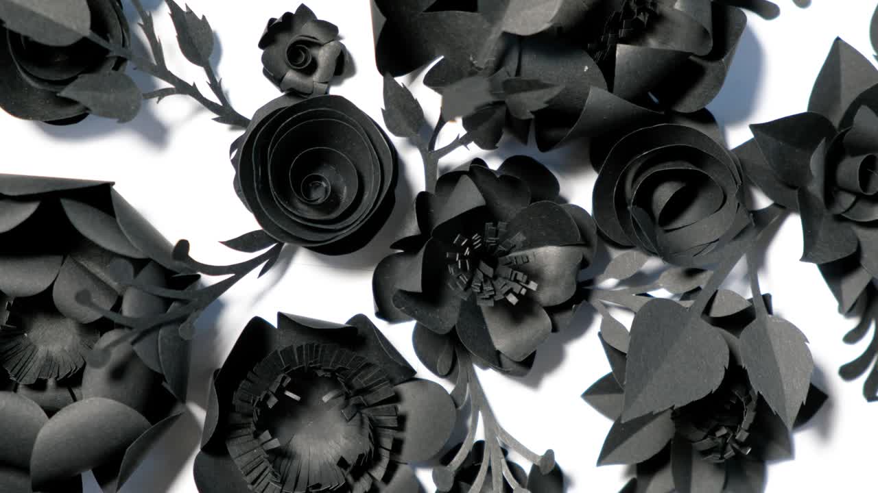 черные бумажные цветы на белом фоне вращаются в кругу.