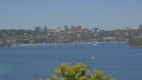 australian harbor by taronga zoo