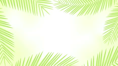 hojas de palma de coco marco moviéndose por el viento bucle y copiar animación espacial 4k en fondo verde borroso con canal alfa