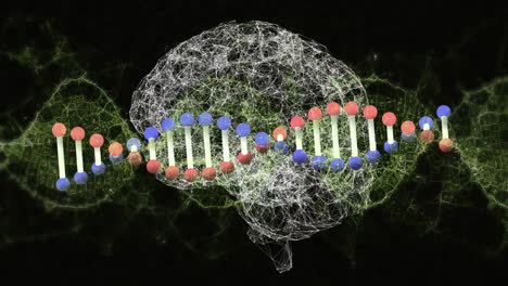 dna structure spinning against digital brain