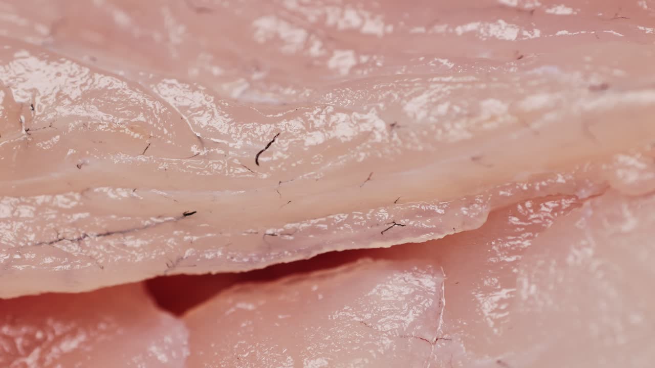 Close-up of Raw Fish Slices