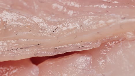 close-up of raw fish slices