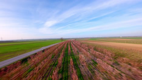 Flug-über-Ländliche-Felder-Mit-Aprikosenbäumen-Und-Rosa-Blühenden-Blumen