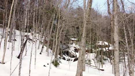 Spring-thaw-water-flows-through-stream-in-snowy-woodland