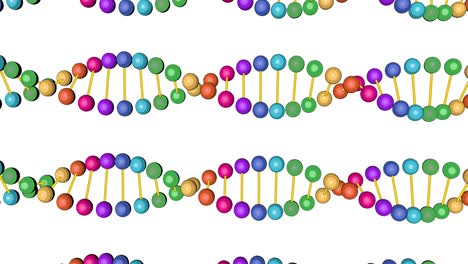 3d animated colored dna test video render isolated on white background for video editing and medical trainings