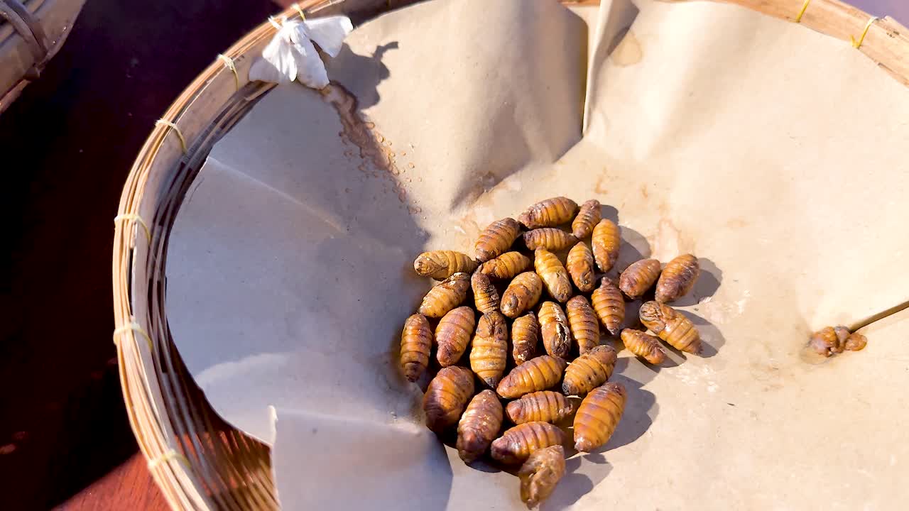 Silk pupae arranged in a basket display