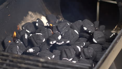 rack de enfoque para el fuego, el humo y las chispas en el pozo de barbacoa