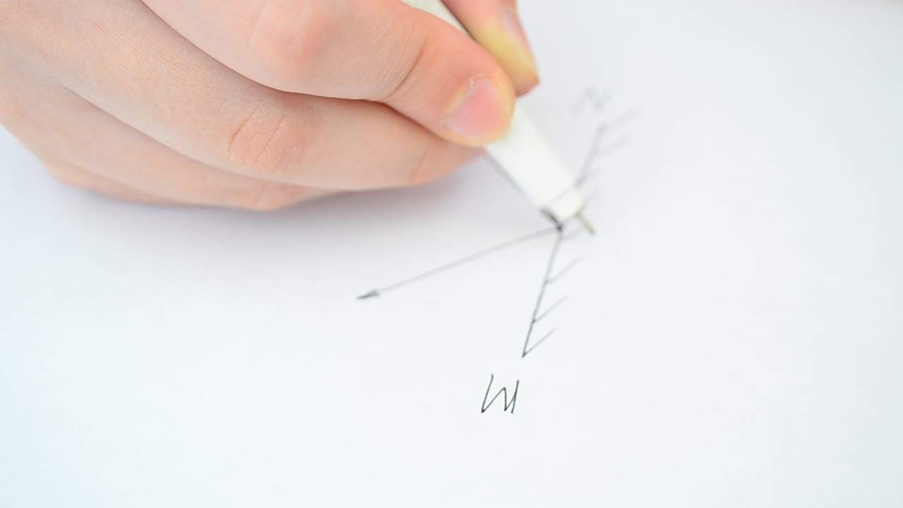 The drawing on physics. Physics, schedule of reflection of light