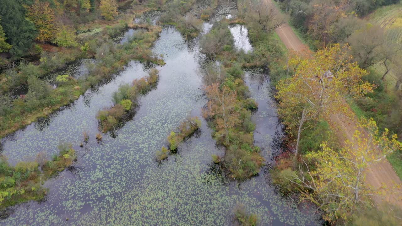 Trattore che percorre una strada sterrata in autunno