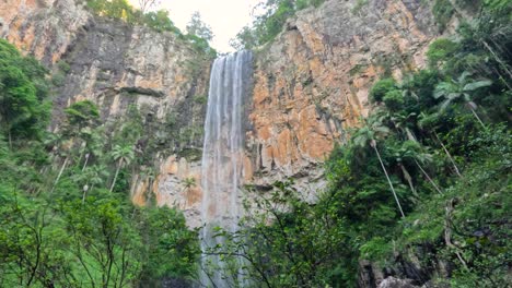 alta cascada en cascada en el bosque exuberante