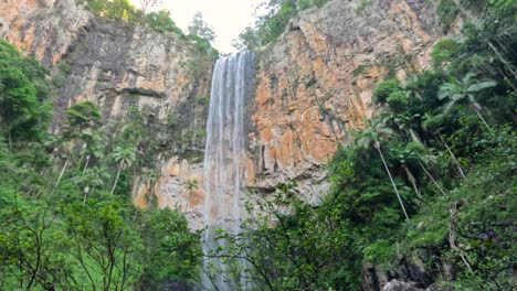 tall waterfall cascading in lush forest