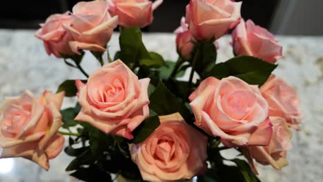a dozen pink roses. slow center zoom out