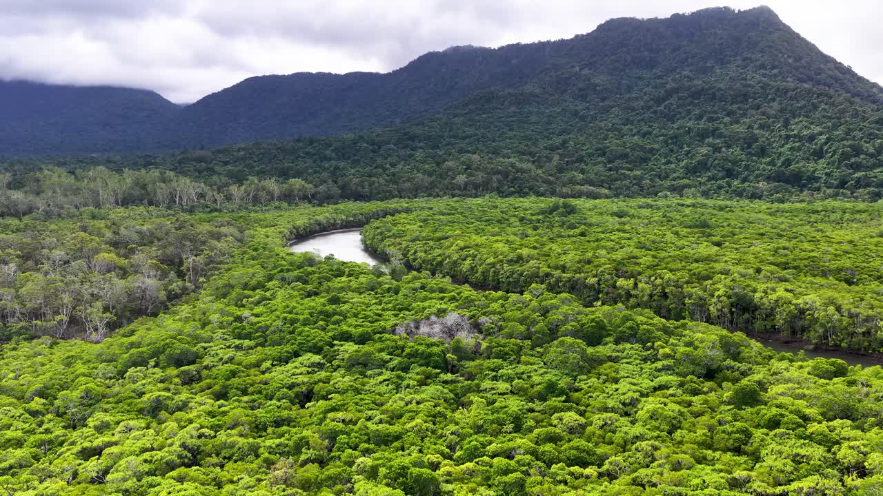 Drone tracks small river boat winding through lush mangrove forest under overcast tropical sky