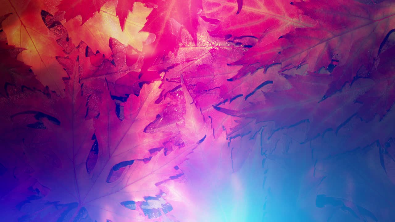 Fundo de Outono Colorido em Loop.