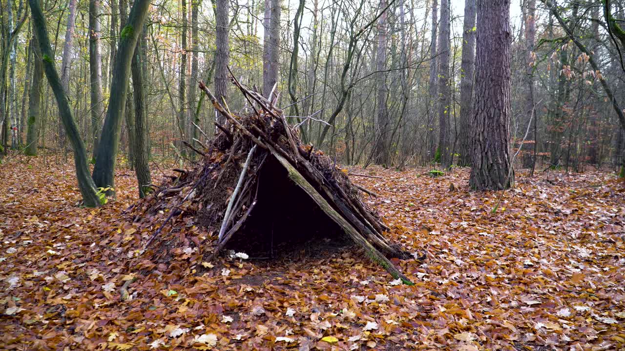 Self Constructed Shelter in the Woods to Stay Safe on Cold Autumn Day