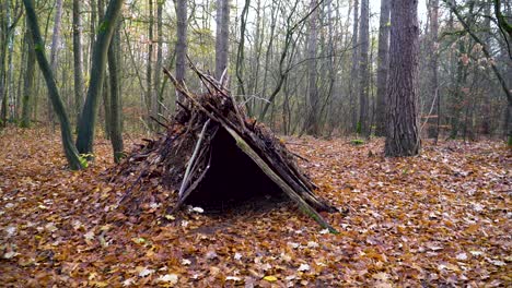 self constructed shelter in the woods to stay safe on cold autumn day