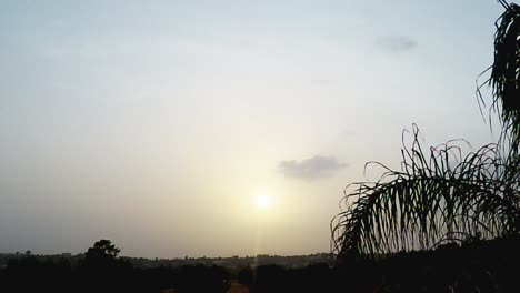 white sun set silhouette