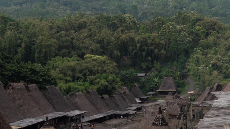 Traditional Village with Thatched Roofs Amidst Lush Forest and Mountains
