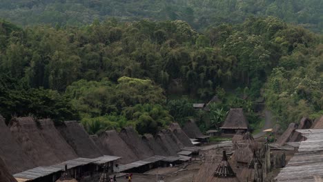 traditional village with thatched roofs amidst lush forest and mountains