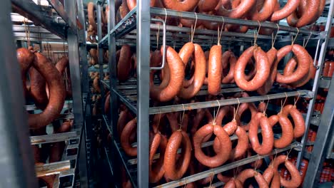 salami, smoked sausages, thick and thin sausages are show hanging in a meat storage facility