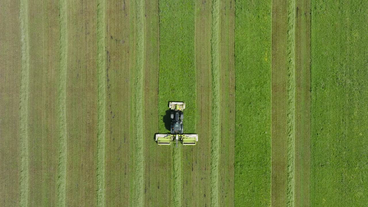 신선한 초록 잔디 ⁇ 을  ⁇ 는 트랙터의 공중 뷰, 농장 동물을 위해 음식을 준비하는 현대 트랙터의 농부,  ⁇ 은 여름 날, 넓은 새 눈 드론  ⁇ 이 앞으로 이동