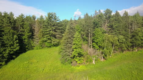 drone flying over outing club ski hill in the summer