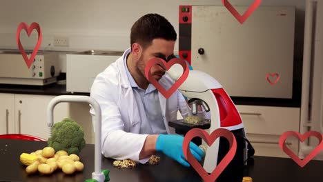 animación de iconos de corazón sobre un científico caucásico usando un microscopio estudiando alimentos
