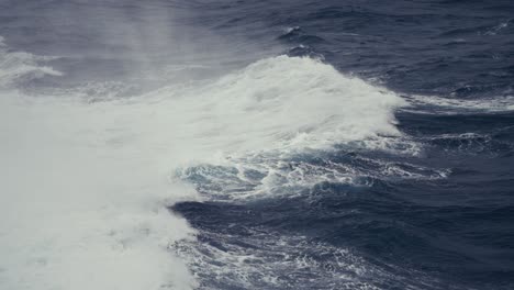 white-crested crushing waves in the open northern sea