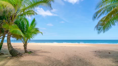 increíble palmeras de coco marco en clara playa de arena blanca salvaje en el paraíso de la isla de phuket karon playa tailandesa, hermoso video para el fondo de verano y sitio web de viajes