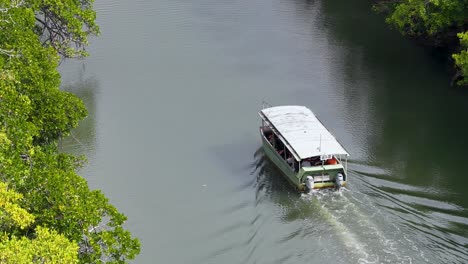 aerial view of boat navigating mangrove-lined river