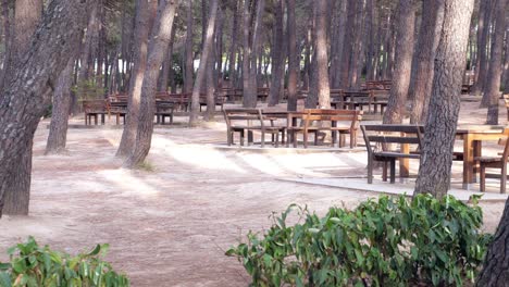 a forest picnic area with wooden benches