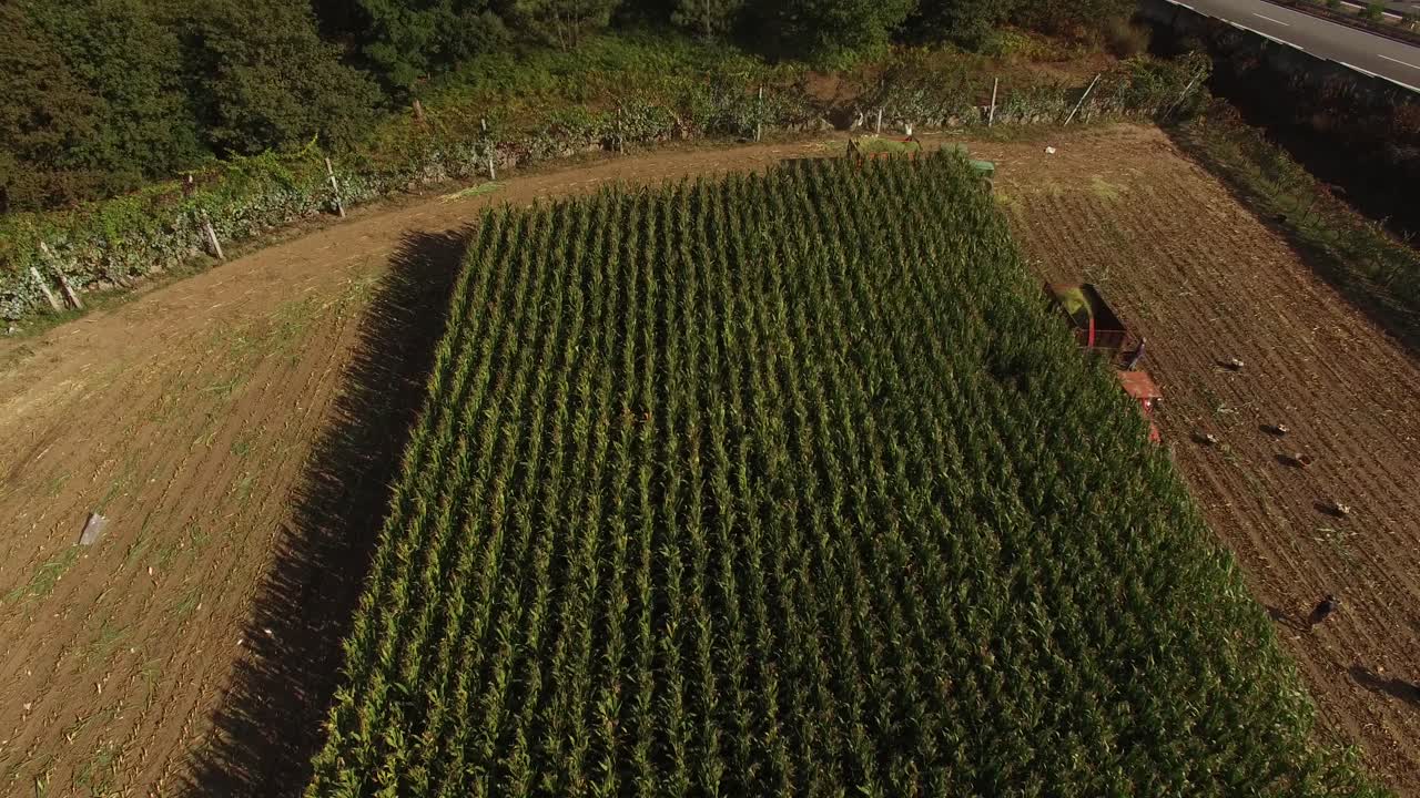 tractor en la vista del campo de la granja agrícola desde el dron
